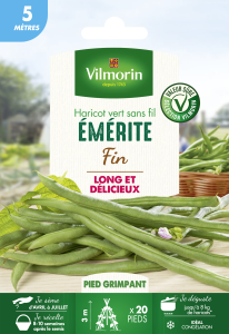 Haricot Emerite - 5 m